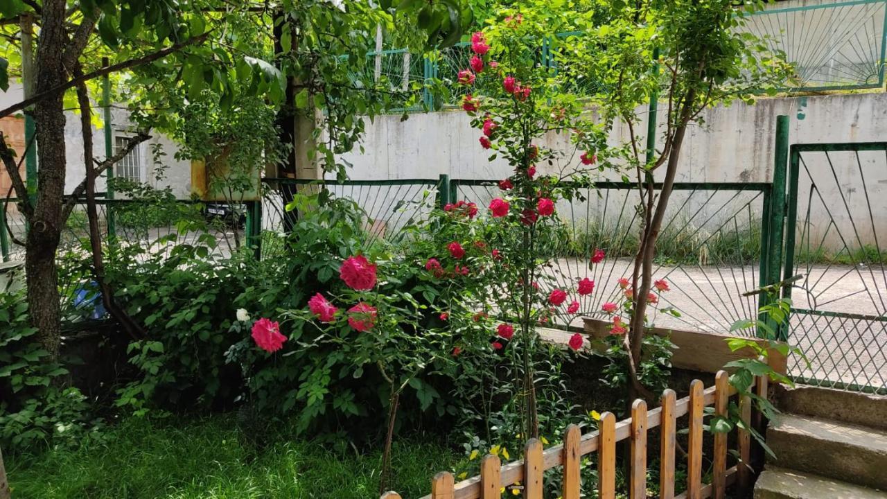 Borjomi Nest Hotel Luaran gambar