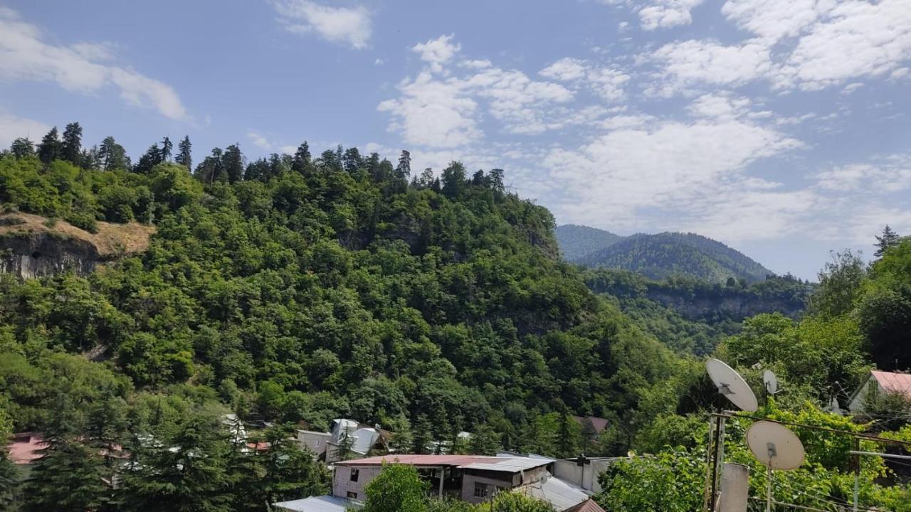 Borjomi Nest Hotel Luaran gambar