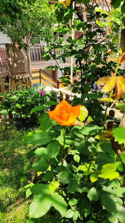 Borjomi Nest Hotel Luaran gambar