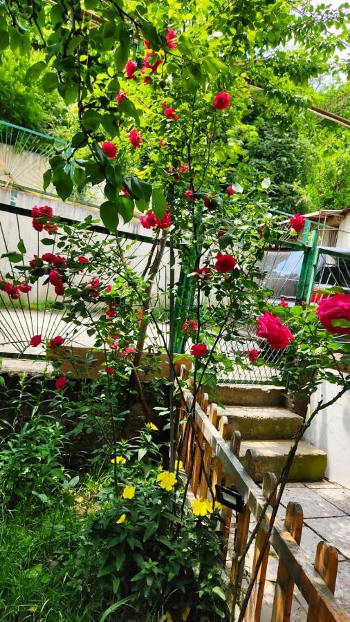 Borjomi Nest Hotel Luaran gambar
