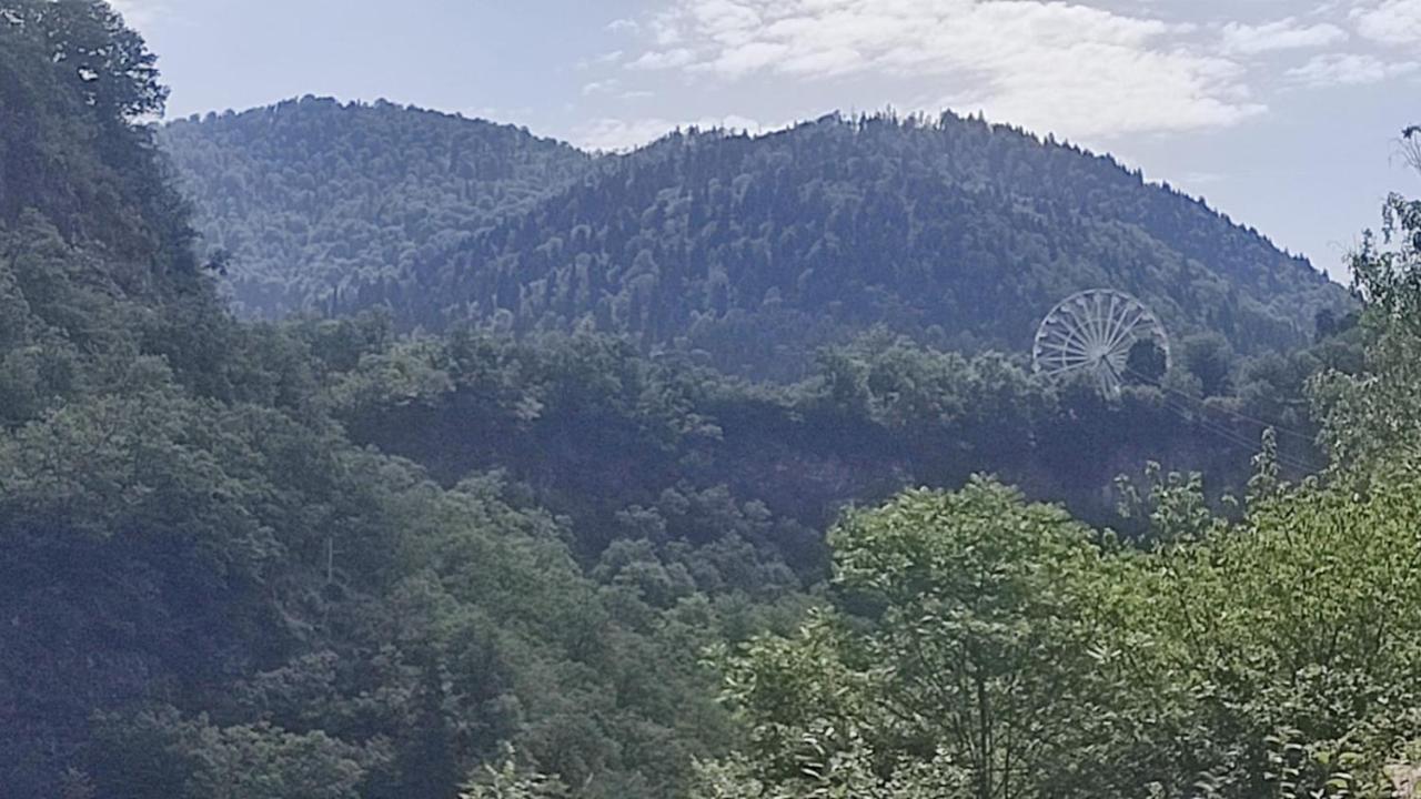 Borjomi Nest Hotel Luaran gambar